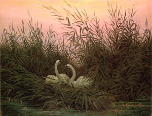 Swans in the Reeds, c.1820